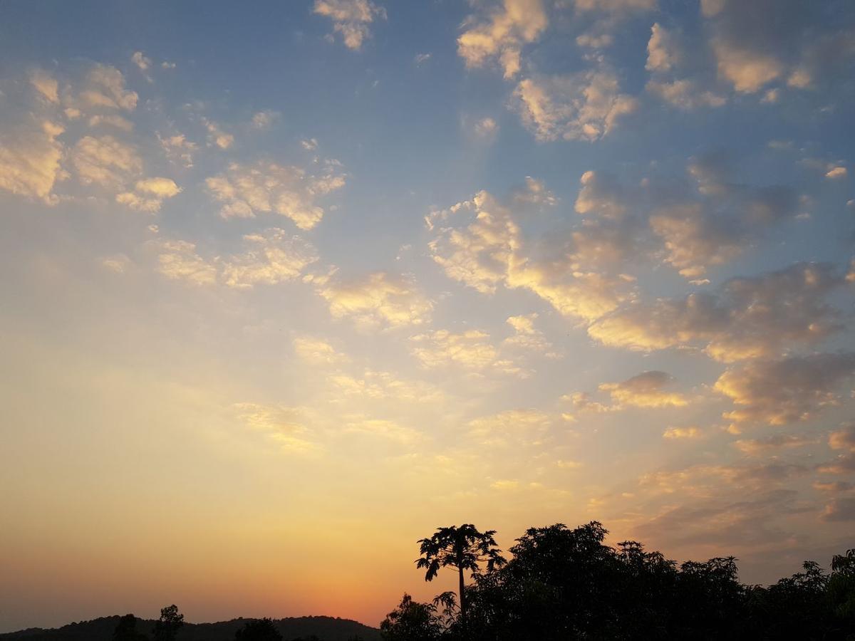 Hiran Holidays Sasan Gir Bagian luar foto