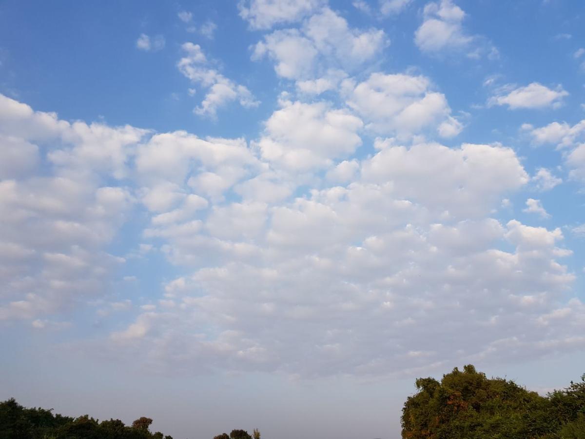 Hiran Holidays Sasan Gir Bagian luar foto
