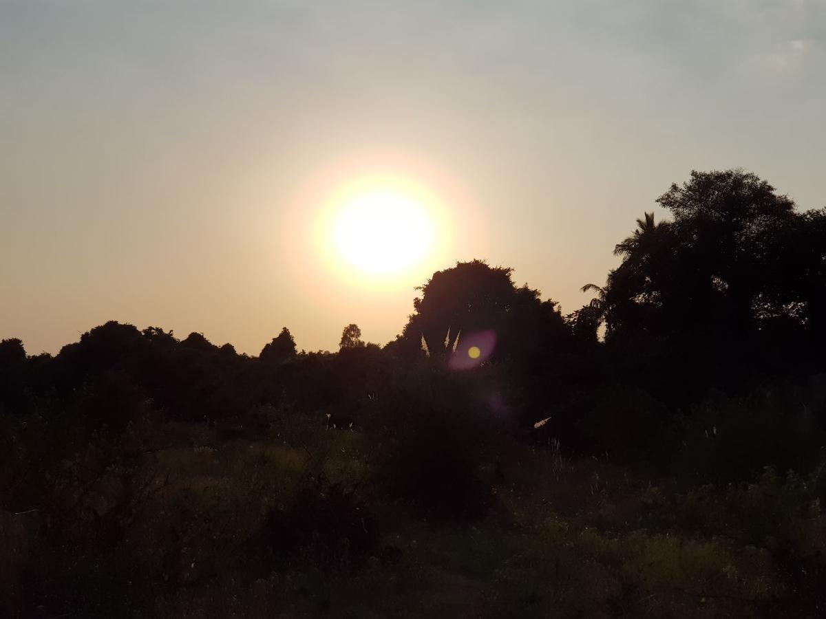 Hiran Holidays Sasan Gir Bagian luar foto