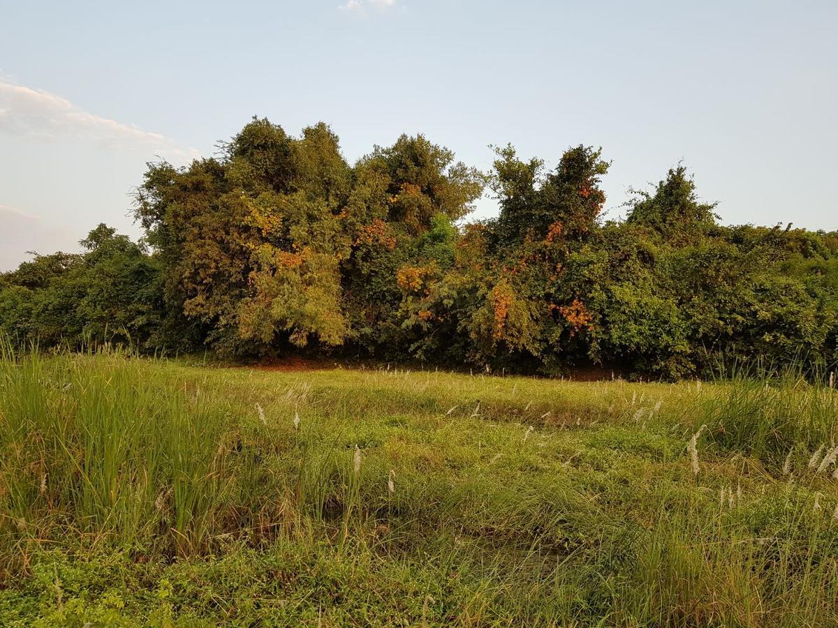 Hiran Holidays Sasan Gir Bagian luar foto