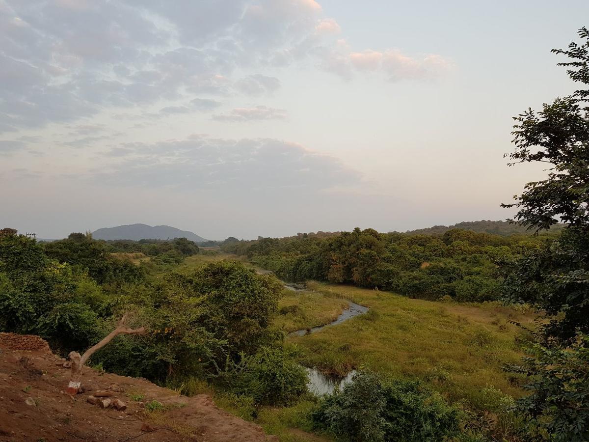 Hiran Holidays Sasan Gir Bagian luar foto